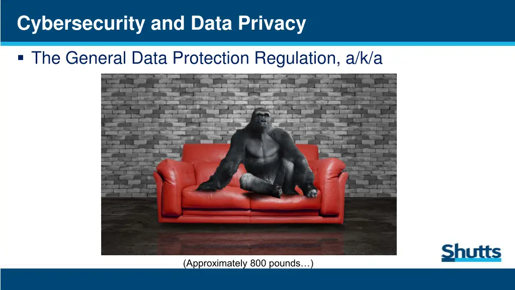 cybersecurity and data privacy