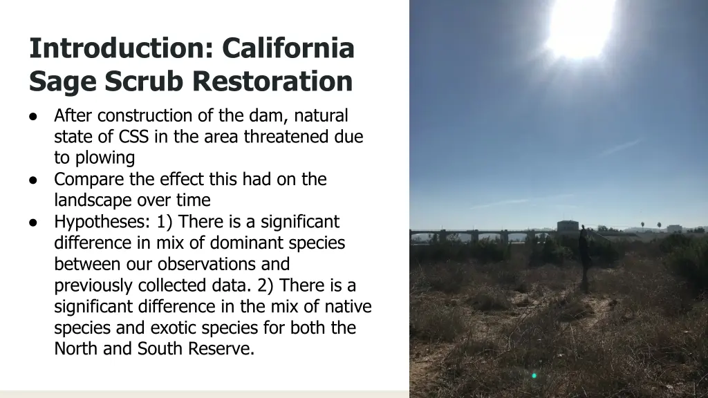 introduction california sage scrub restoration