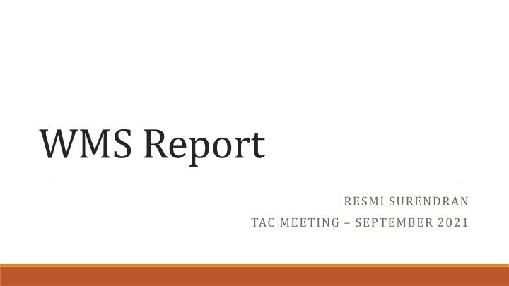 wms report