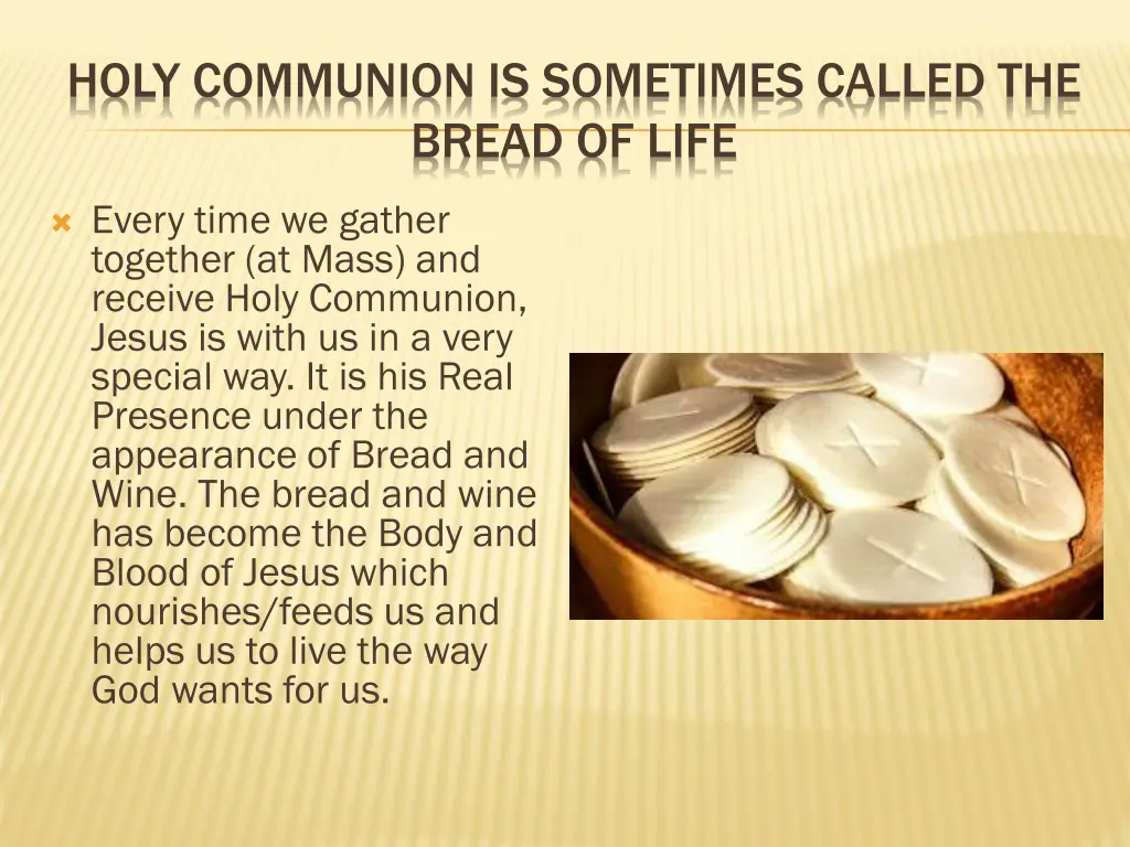 holy communion is sometimes called the bread