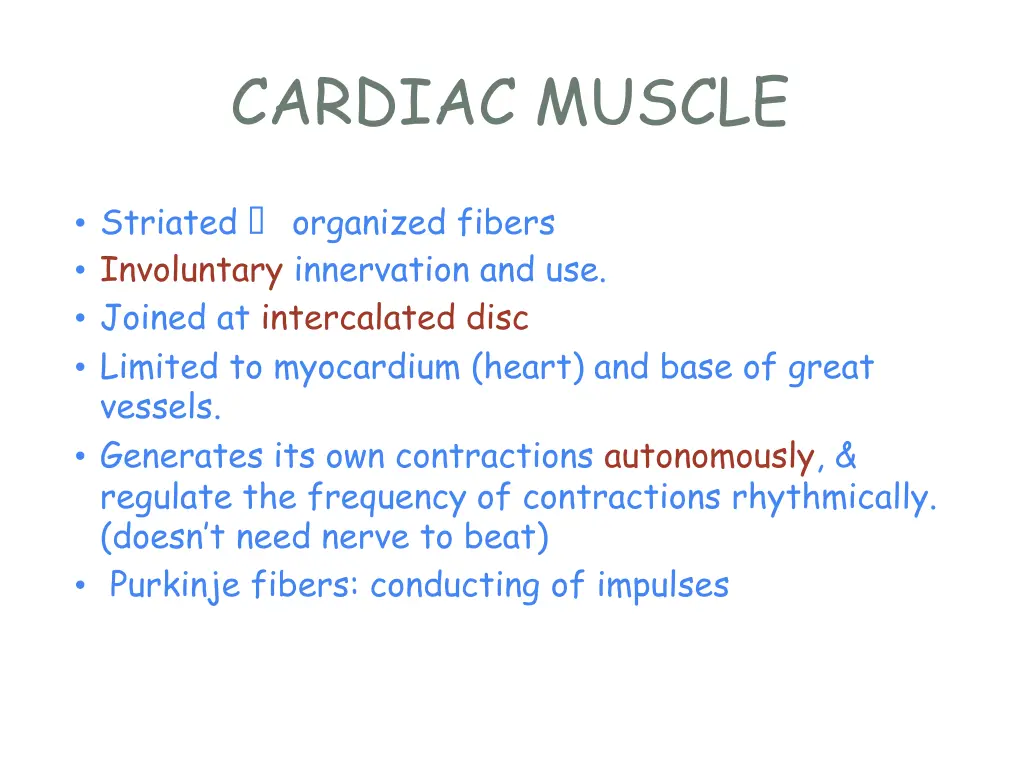 cardiac muscle 1