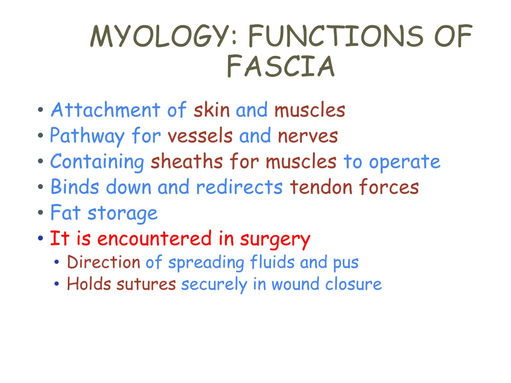 myology functions of fascia