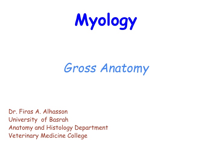 myology