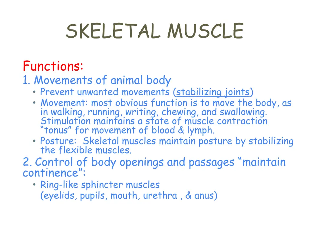 skeletal muscle 1