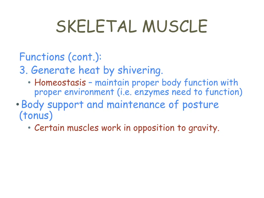 skeletal muscle 2