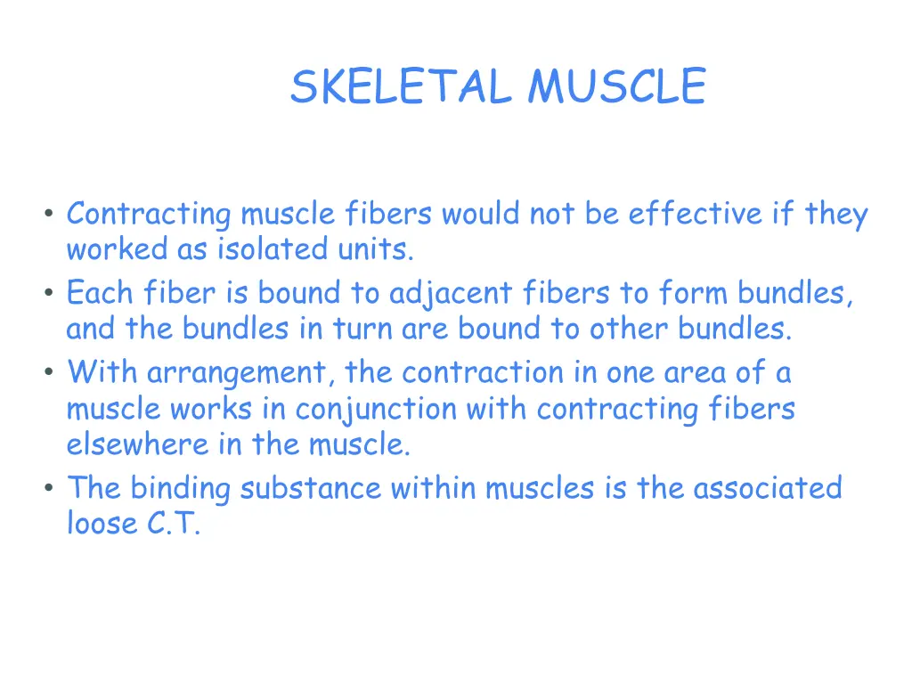 skeletal muscle 4