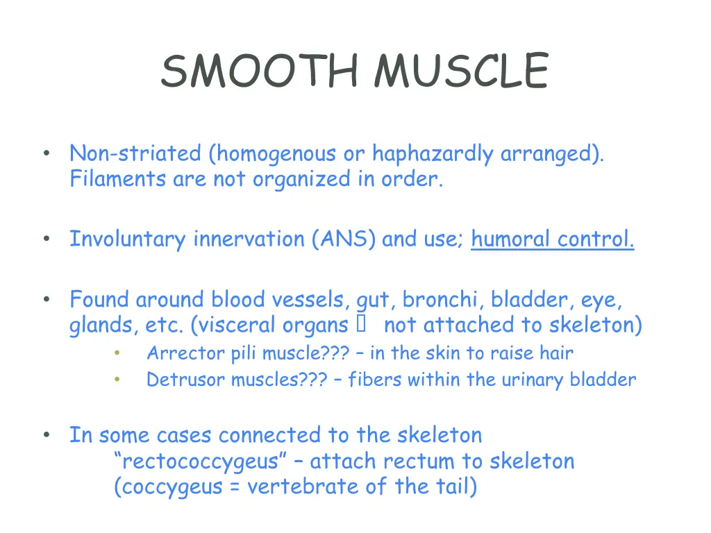 smooth muscle 1