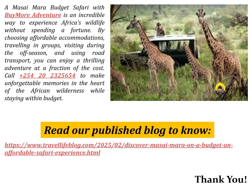 a masai mara budget safari with buymore adventure