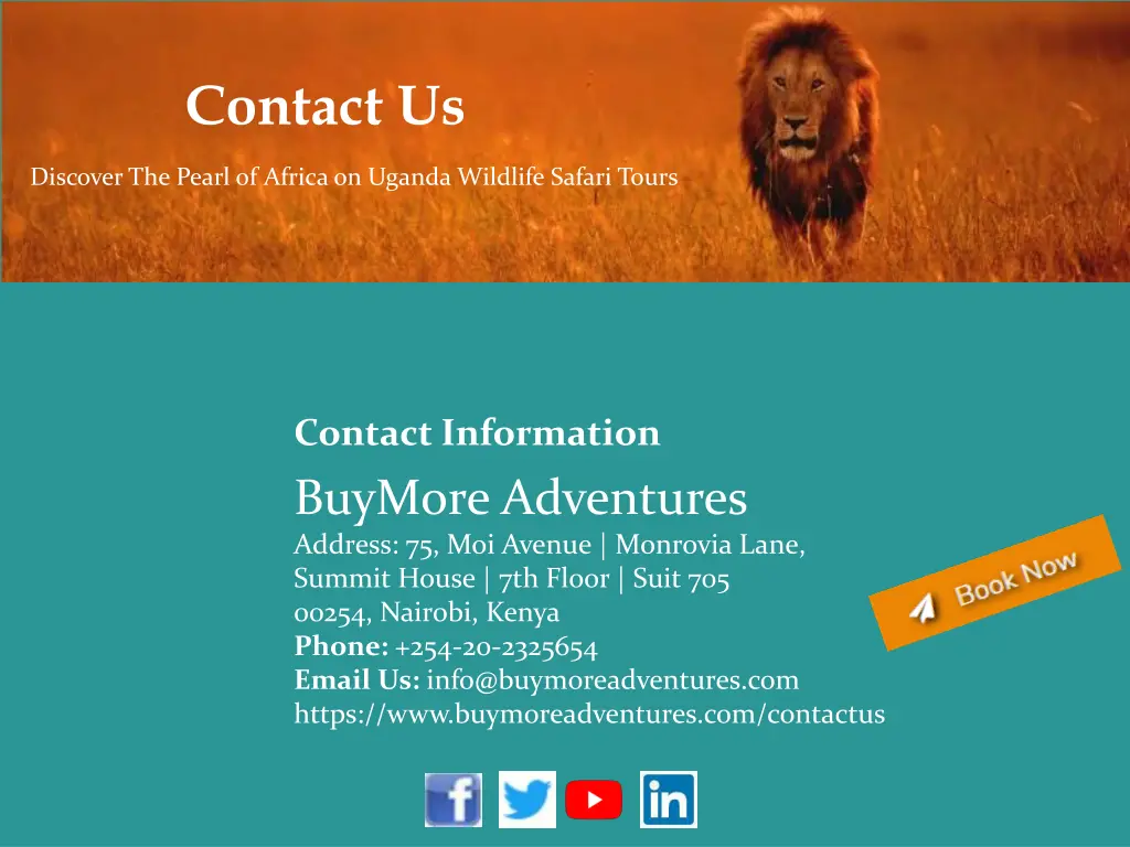 contact us
