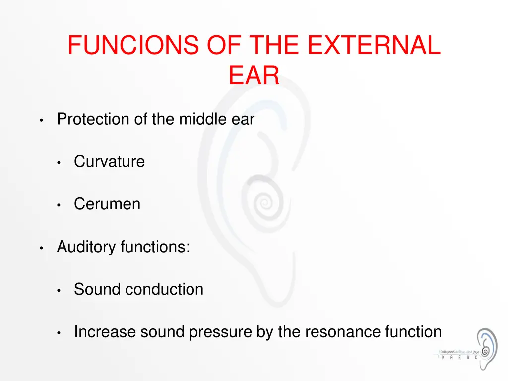 funcions of the external ear