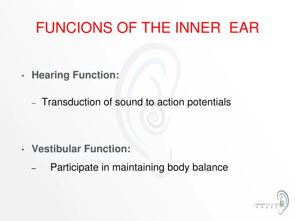 funcions of the inner ear