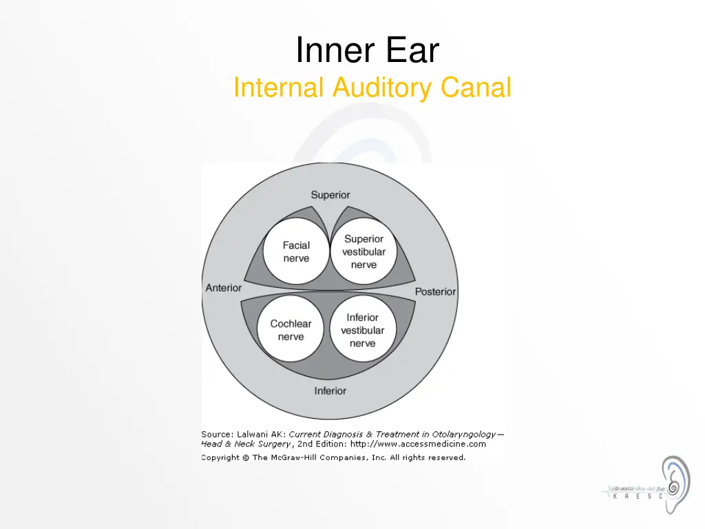 inner ear internal auditory canal 1