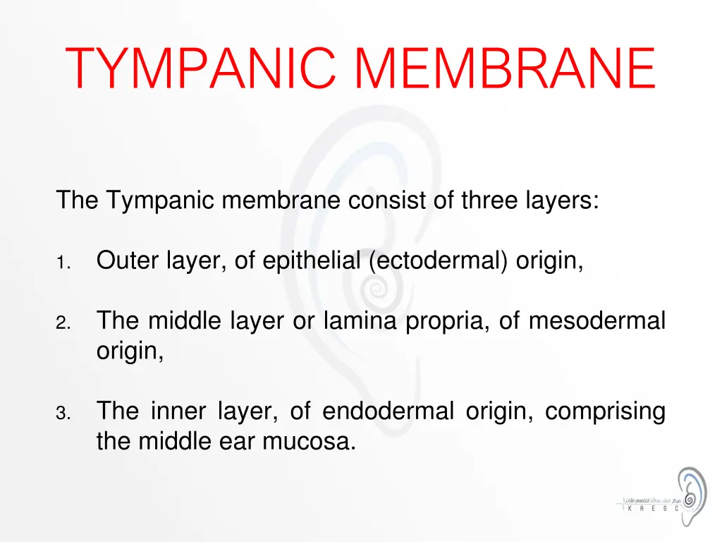 tympanic membrane 1