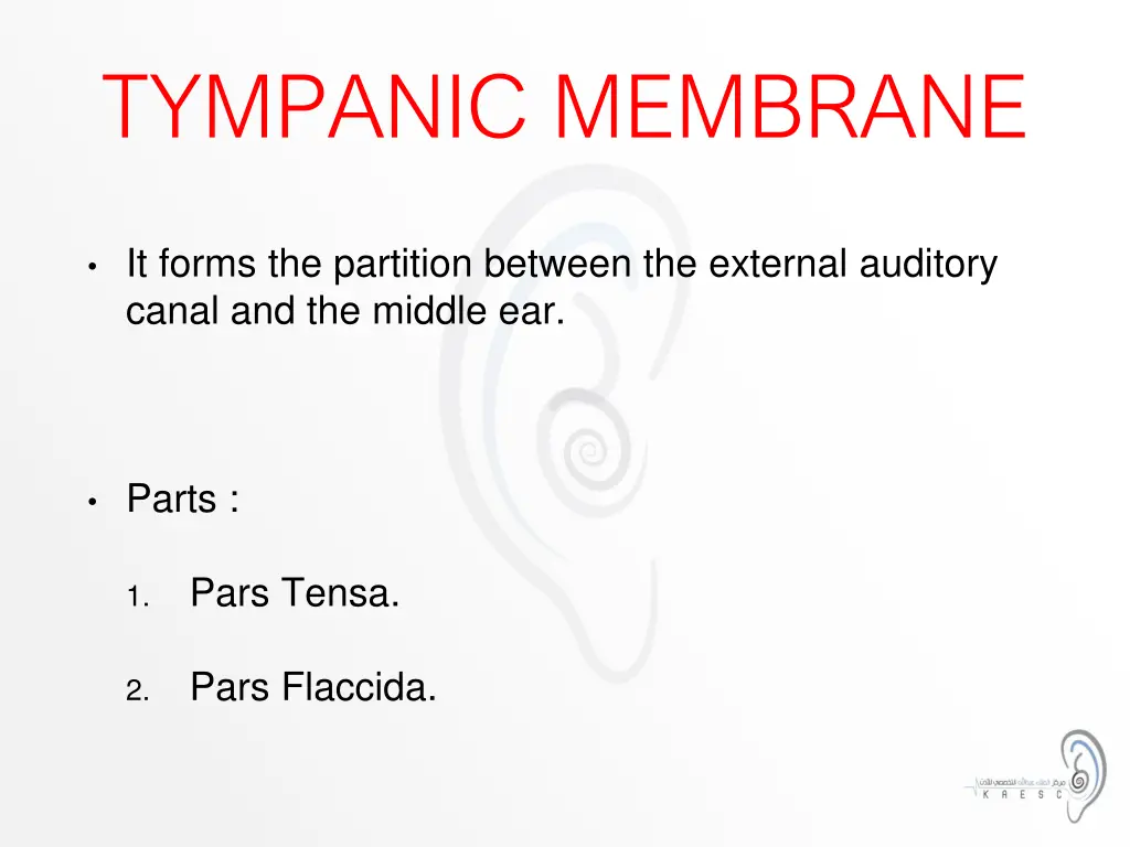 tympanic membrane