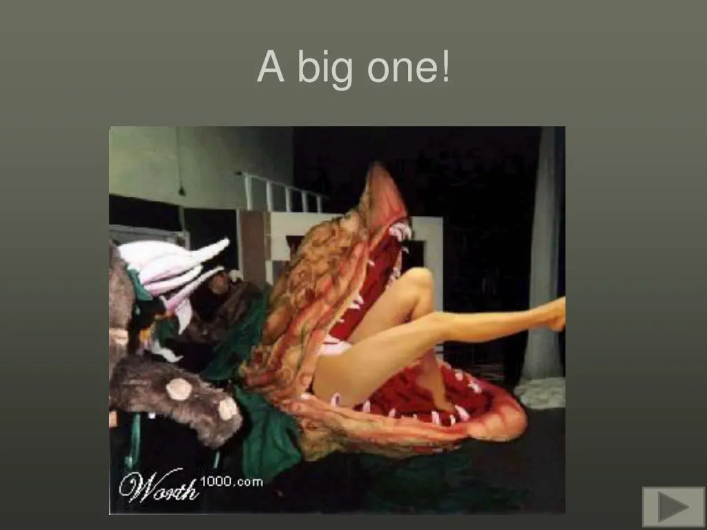 a big one