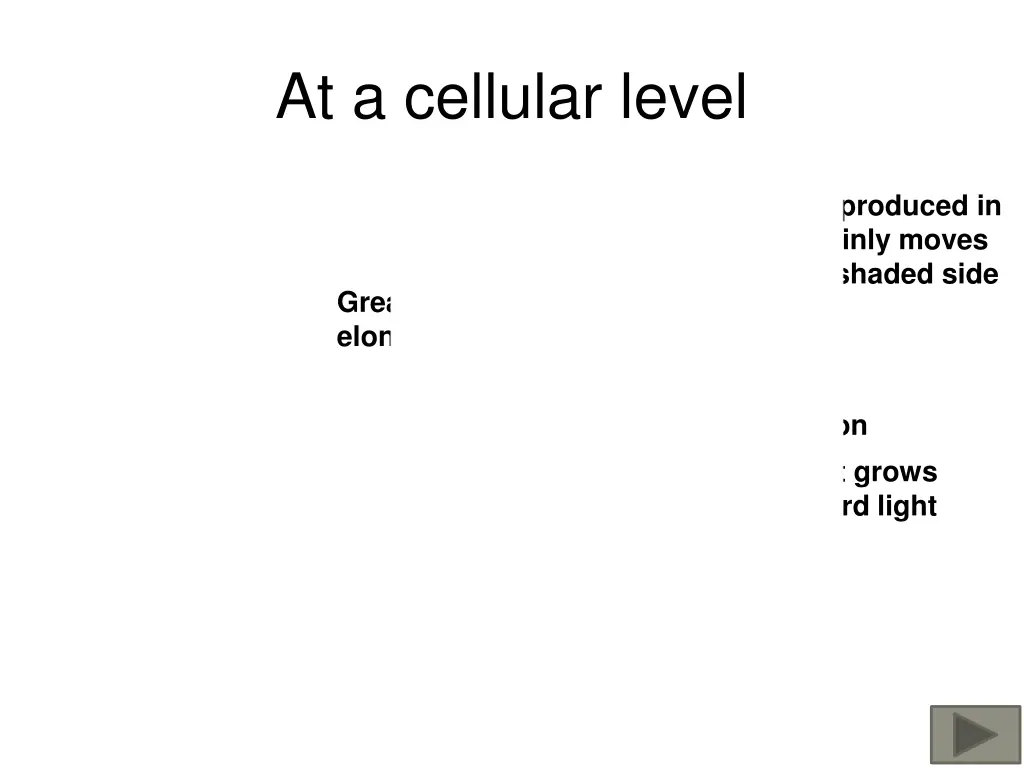 at a cellular level
