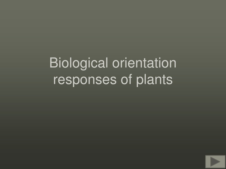 biological orientation responses of plants