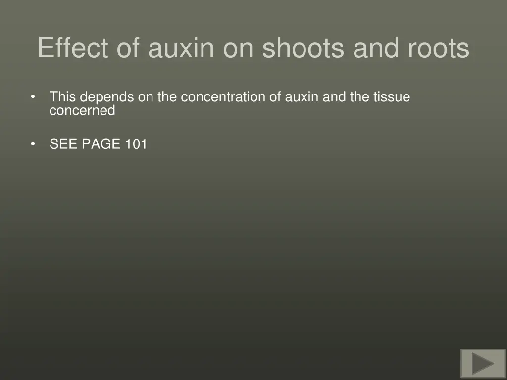 effect of auxin on shoots and roots