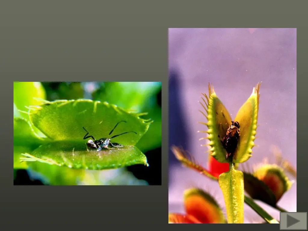 slide11
