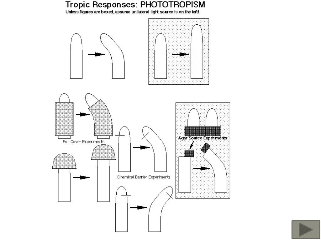 slide26