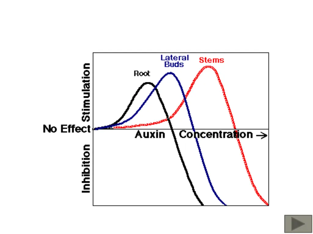slide28