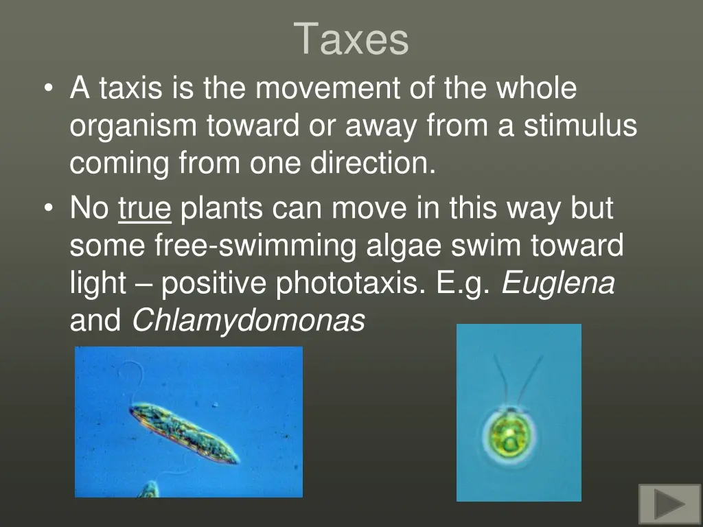 taxes