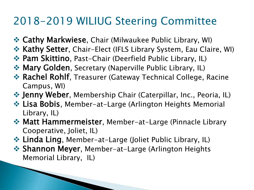 2018 2019 wiliug steering committee