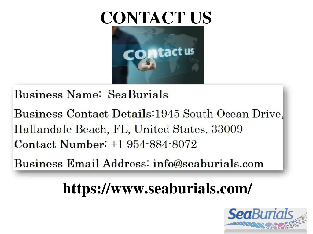 contact us