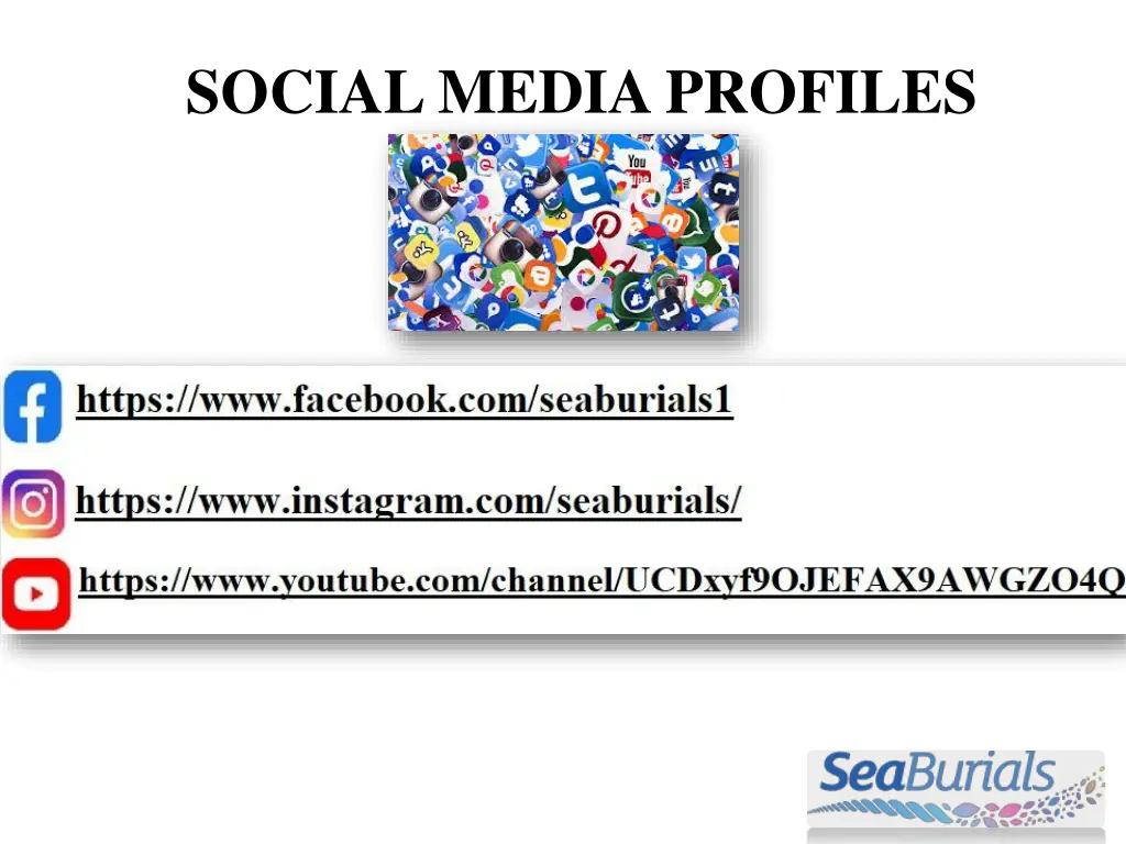 social media profiles