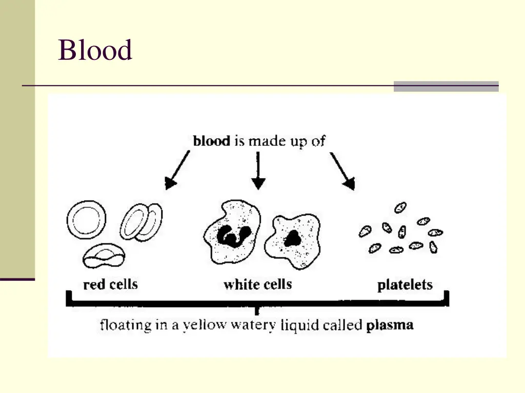 blood