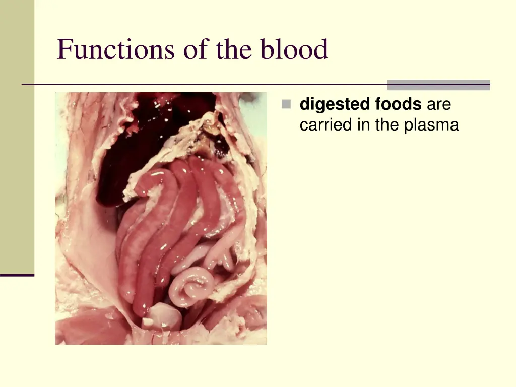 functions of the blood 1