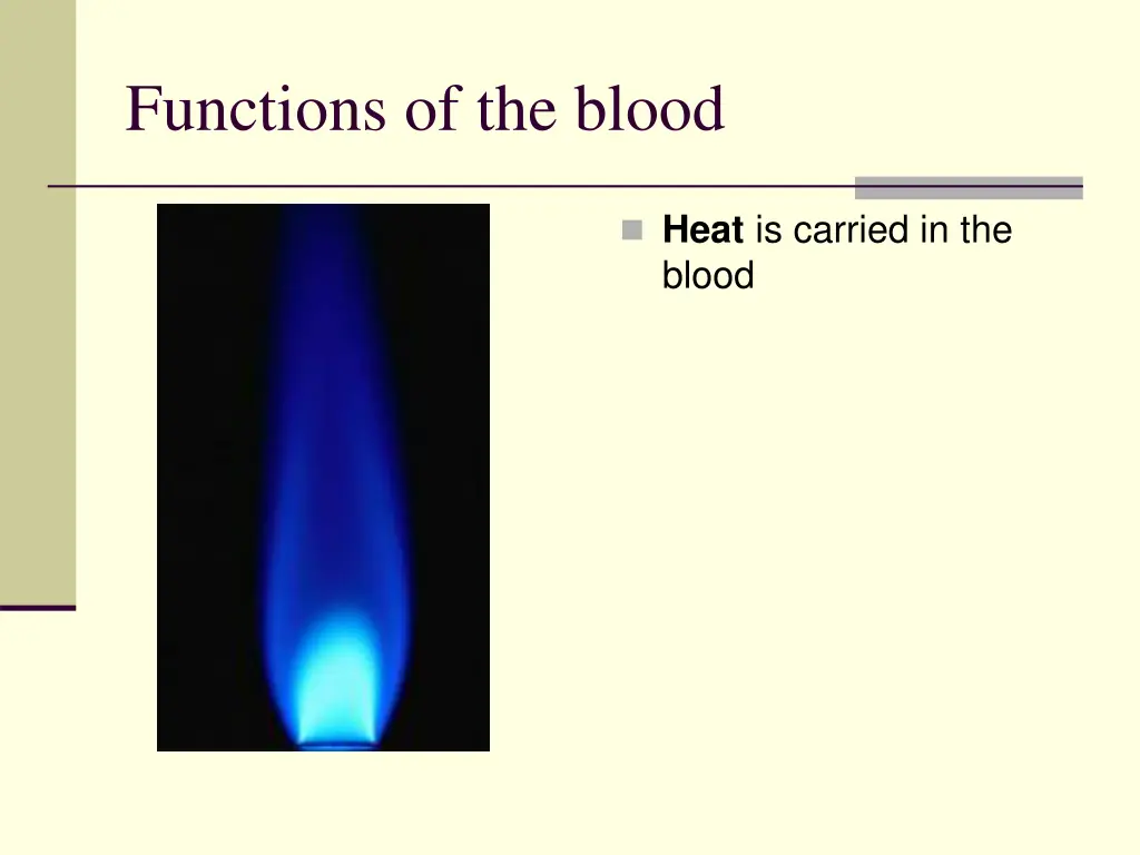 functions of the blood 4