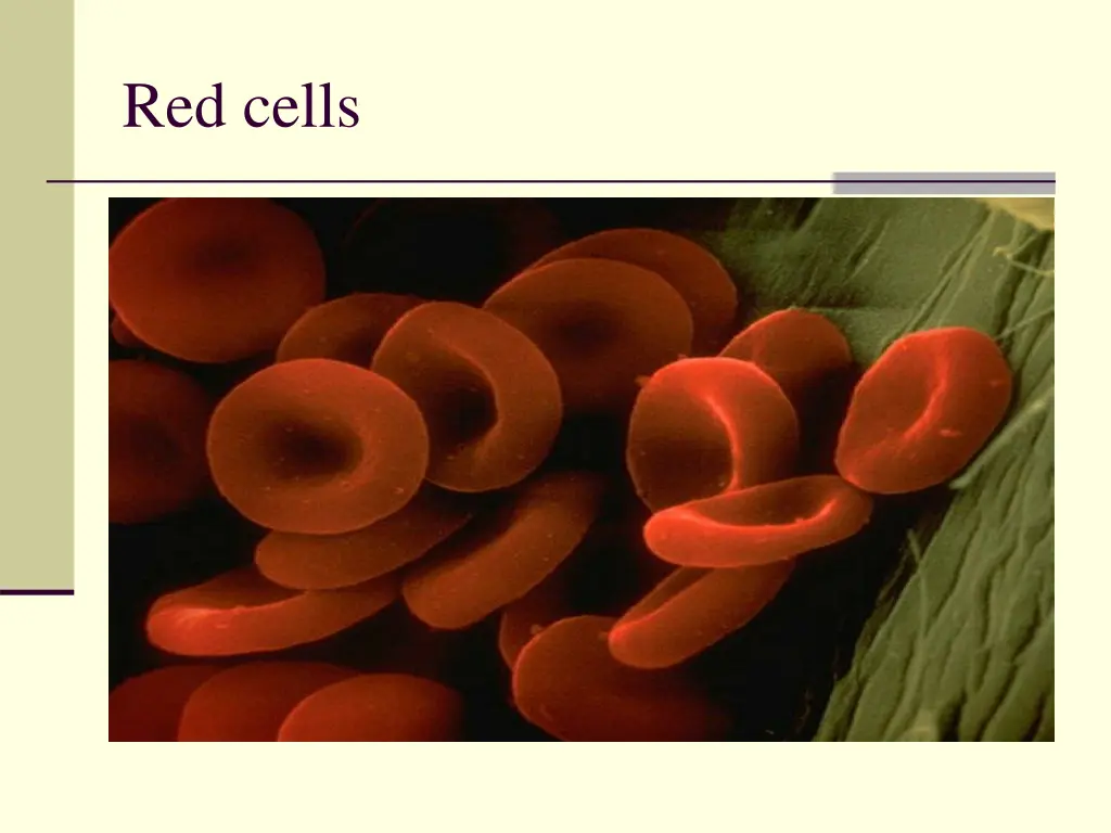 red cells