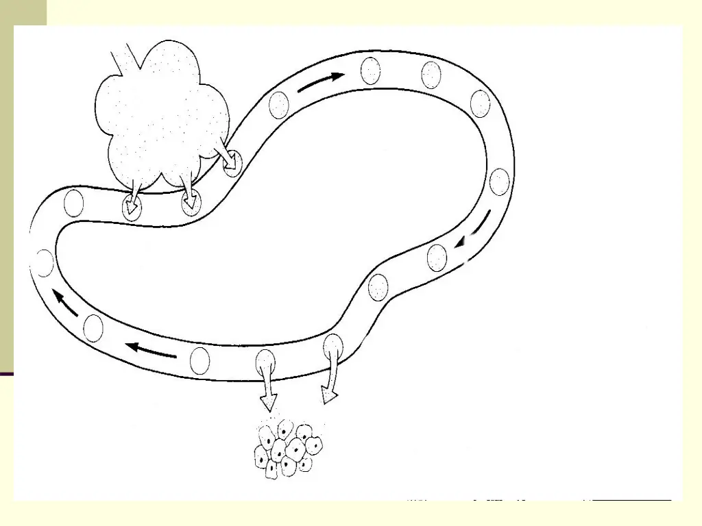 slide19