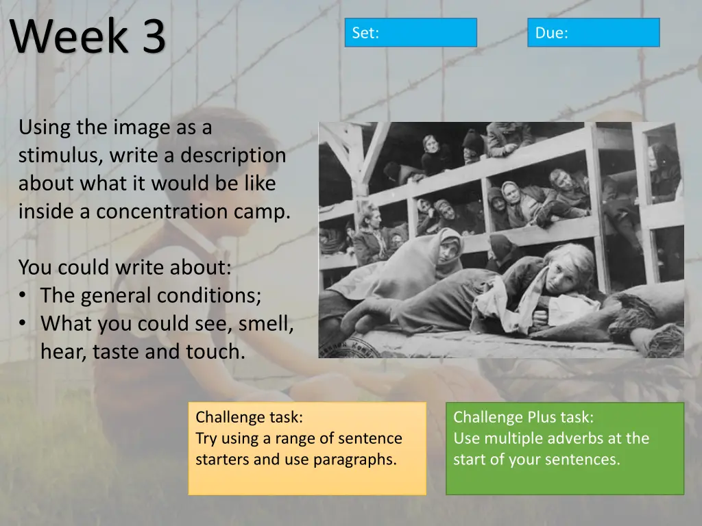 week 3