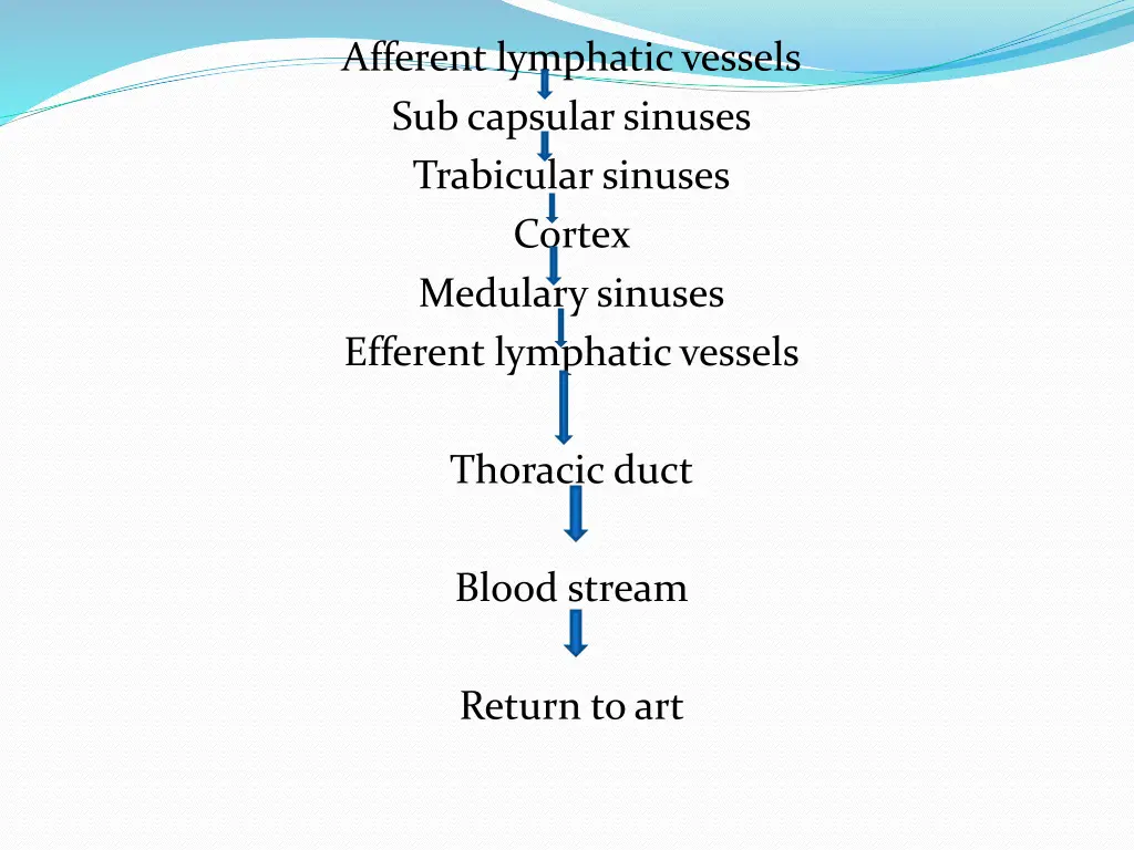 afferent lymphatic vessels sub capsular sinuses