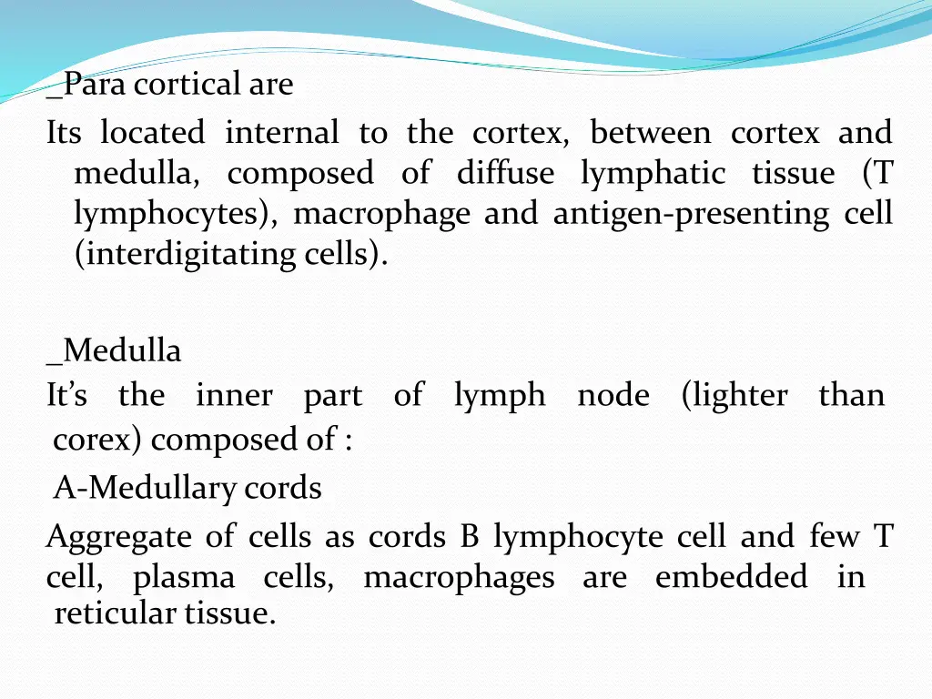 para cortical are its located internal