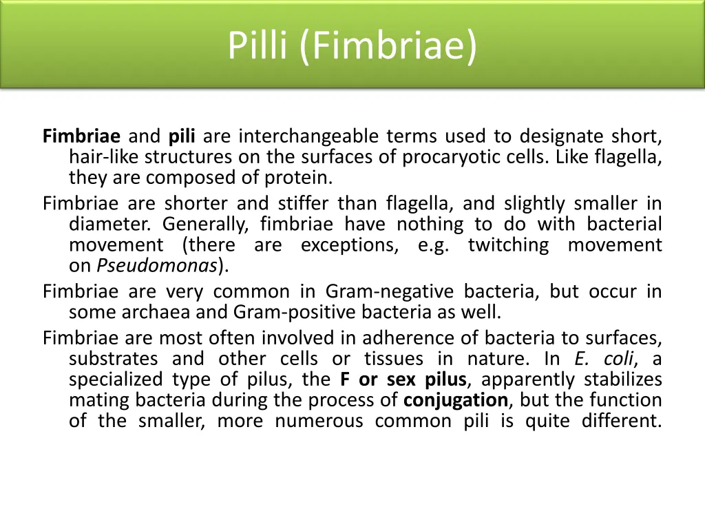 pilli fimbriae 1