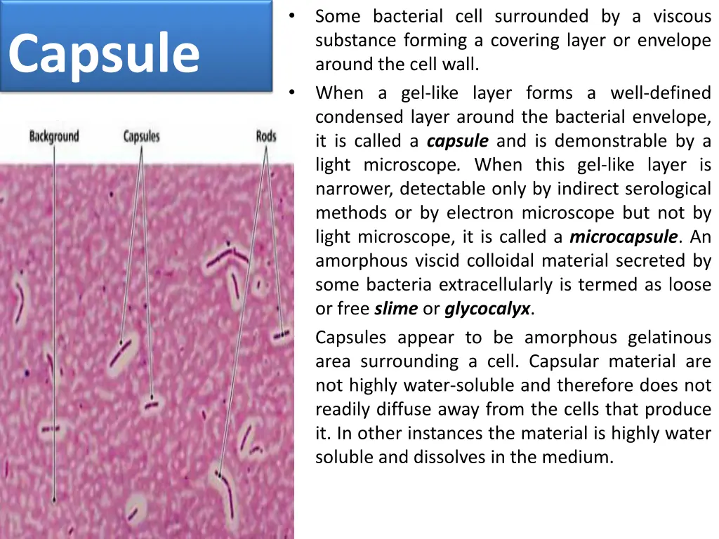 slide5
