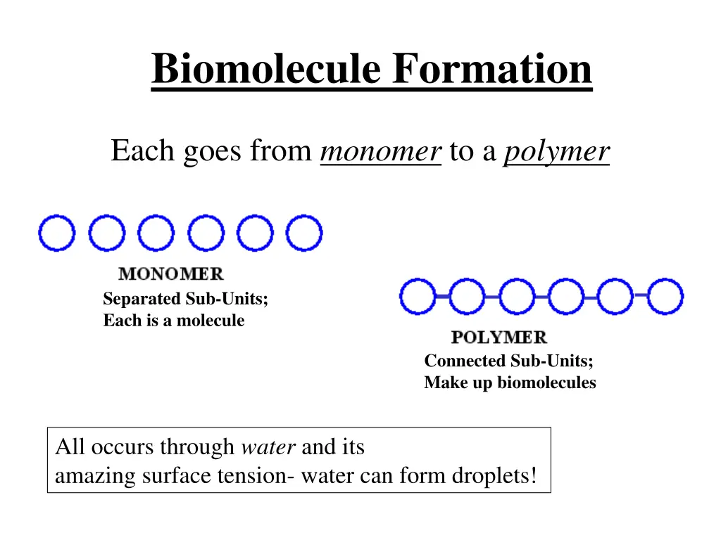 biomolecule formation