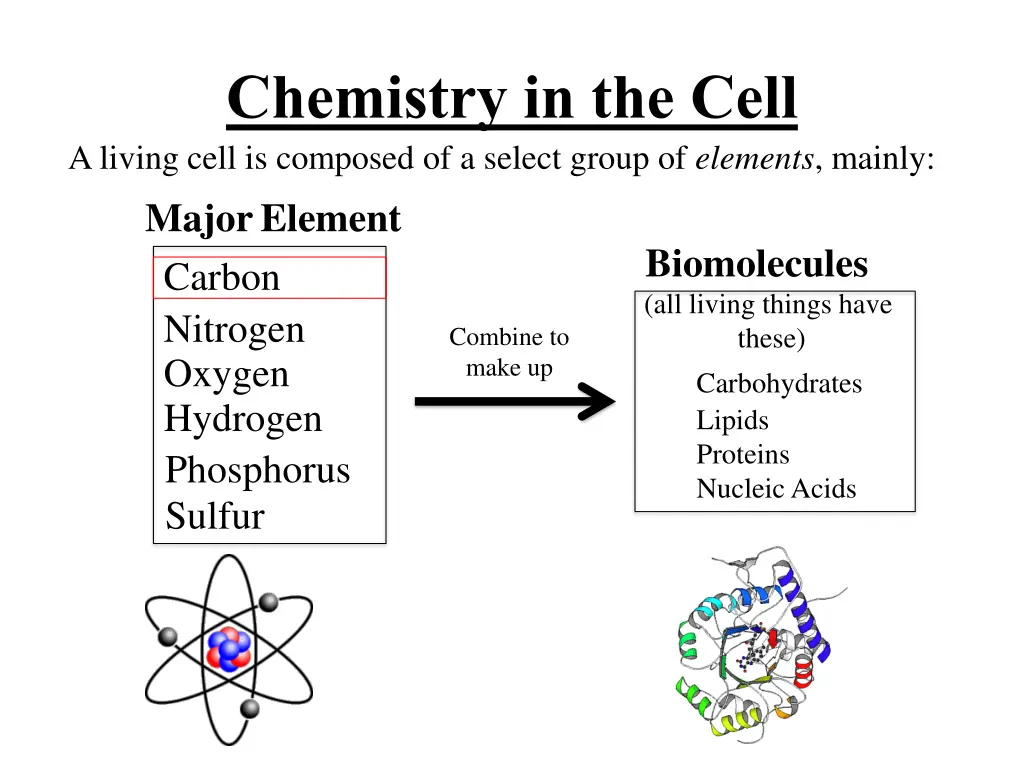 chemistry in the cell a living cell is composed