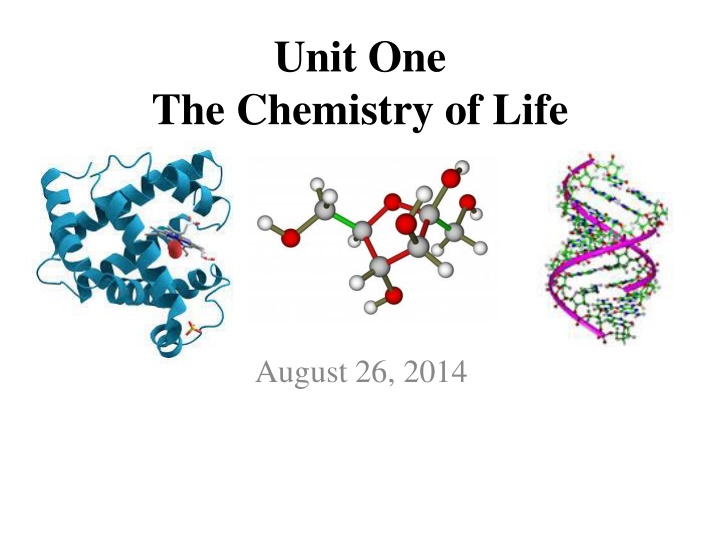 unit one