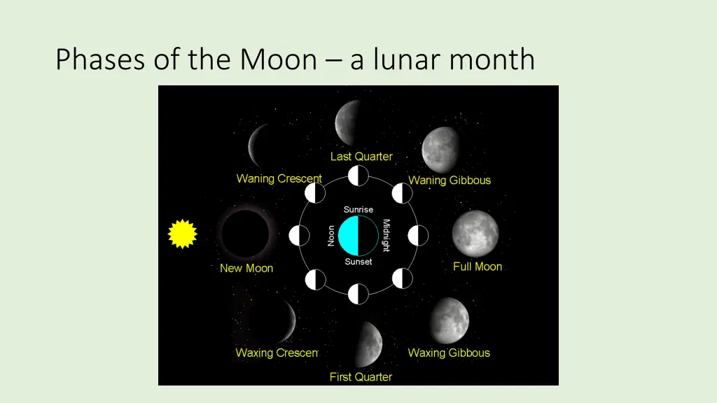 phases of the moon a lunar month