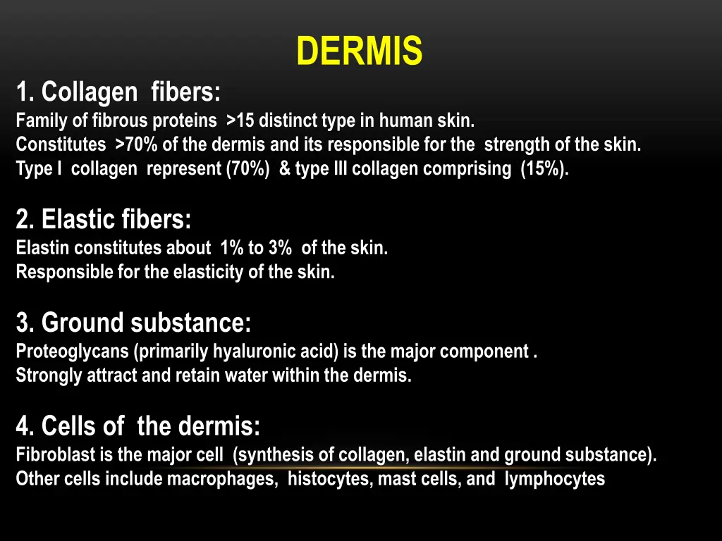 dermis 1