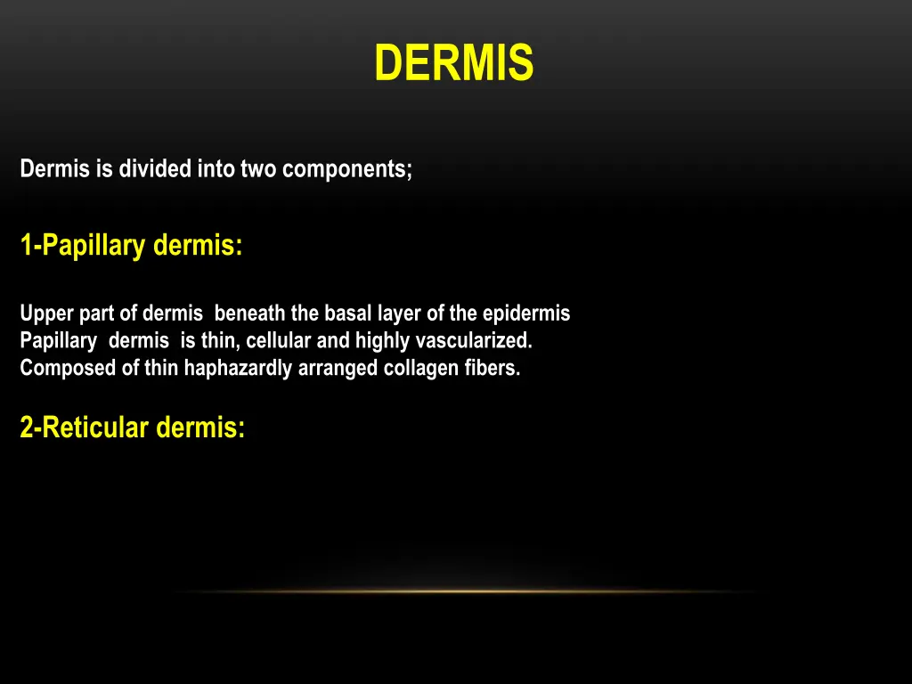 dermis 2