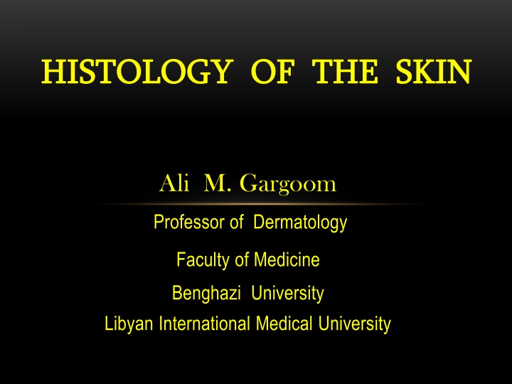 histology of the skin histology of the skin