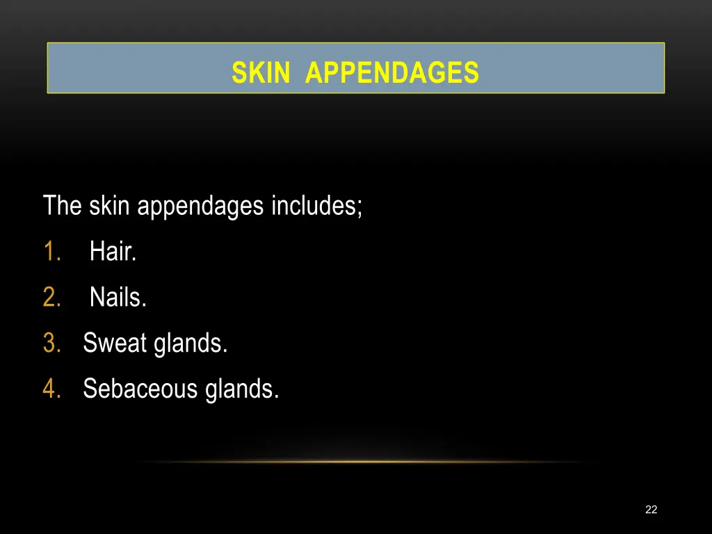 skin appendages