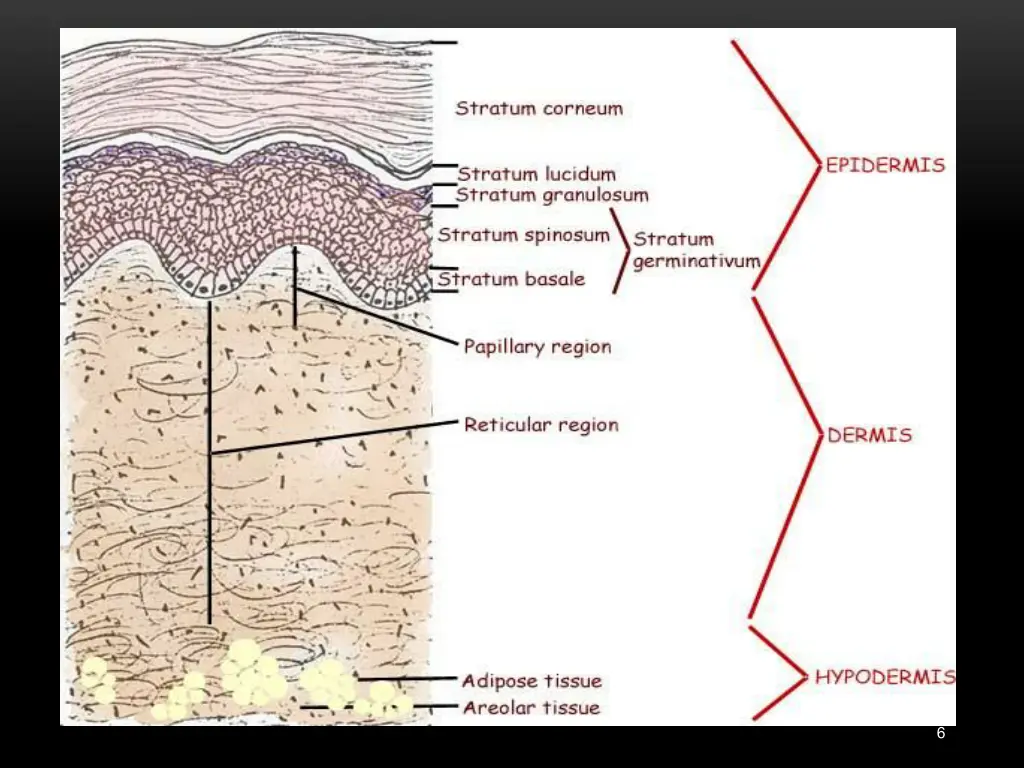 slide6