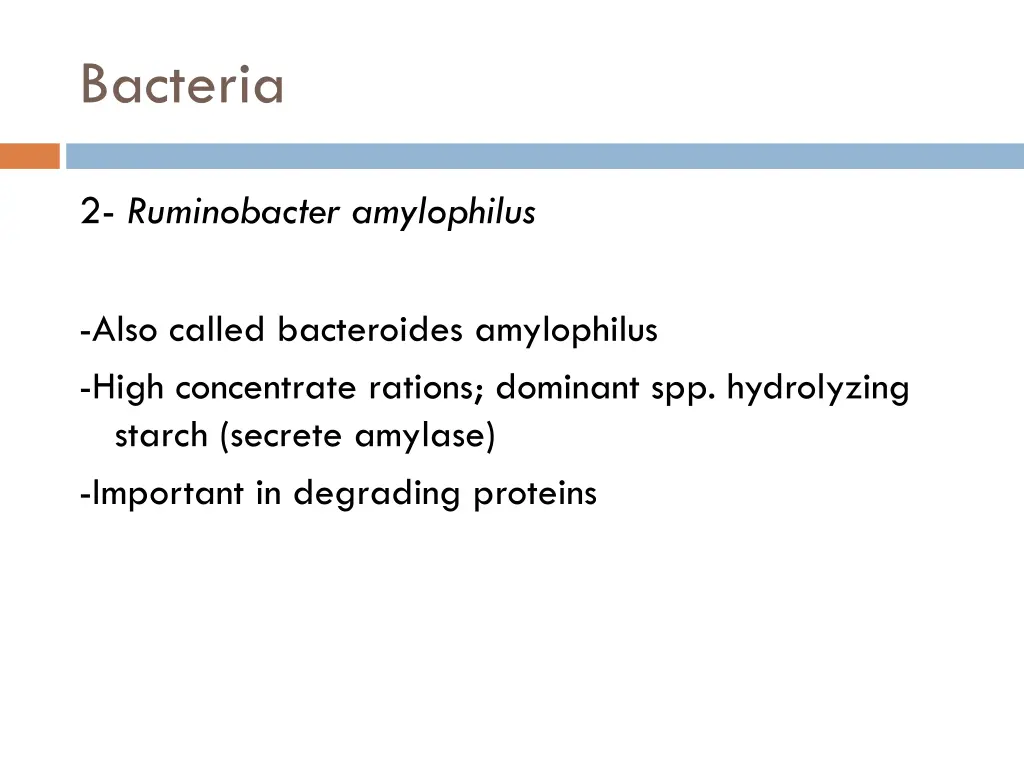 bacteria 1