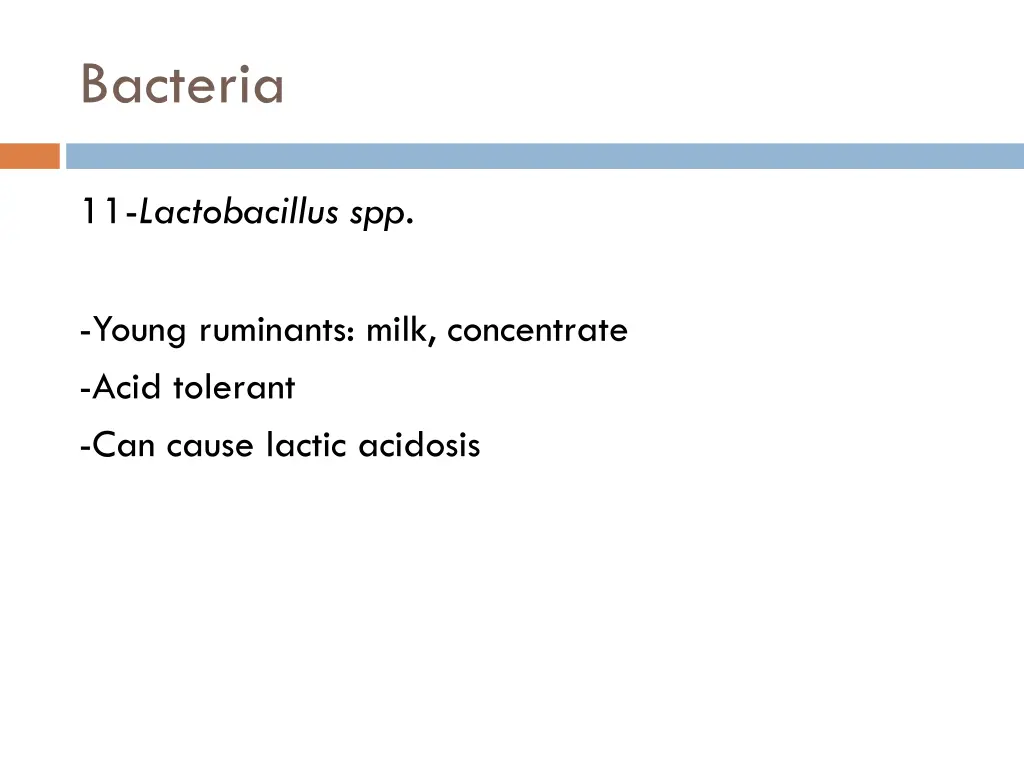 bacteria 10